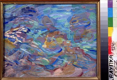 Stenen in het water door Alexander Bogomazov