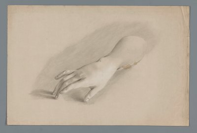 Gipsmodel van een hand door Alexander Cranendoncq