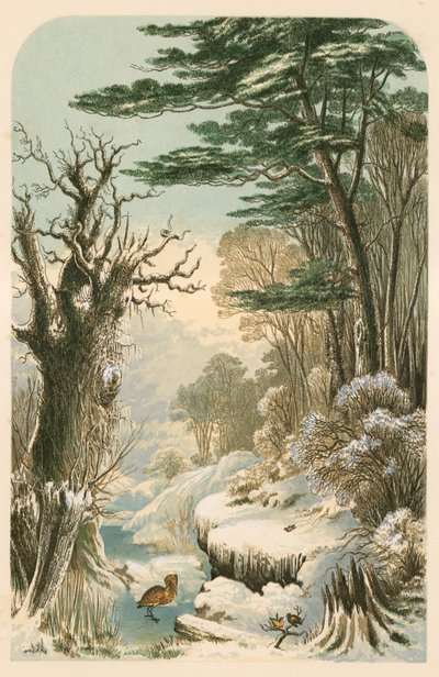 Illustratie voor Longfellow