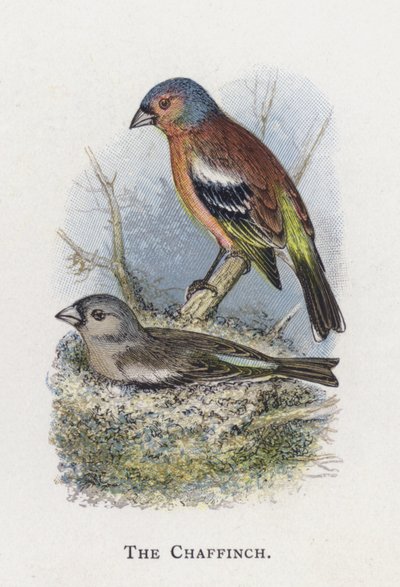 De Vink door Alexander Francis Lydon