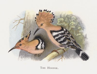 De Hop door Alexander Francis Lydon
