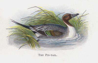 De Pijlstaart door Alexander Francis Lydon