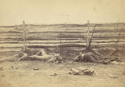 Uitzicht in het Veld, Aan de Westkant van de Hagerstown Road, Na de Slag bij Antietam door Alexander Gardner