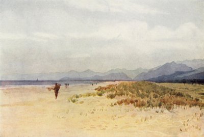 De kust ten noorden van Viareggio door Alexander Henry Hallam Murray