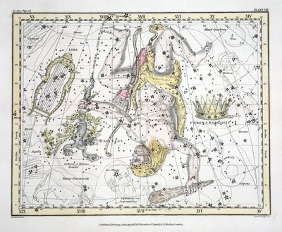 De sterrenbeelden (Plaat VIII) Coronoa Borealis, Hercules en Cerberus, Lyra, uit 