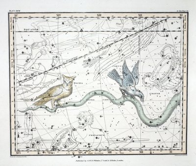 De sterrenbeelden (Plaat XXVII) Hydra Continua, Crater, Covus, Centaurus et Lupus, uit 