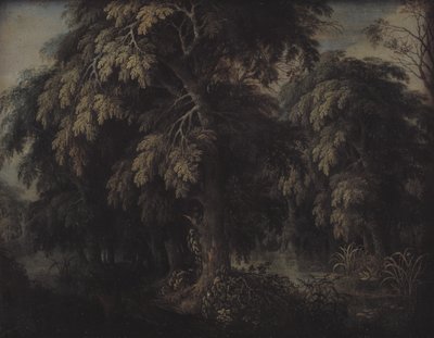 Boslandschap door Alexander Keirincx