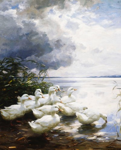Eenden aan de Rand van het Meer door Alexander Koester