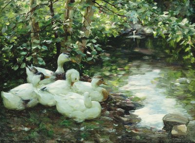 Vijf Eenden aan de Rivier, Stenige Oever door Alexander Koester