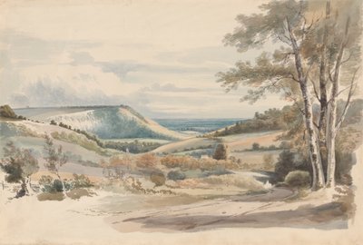Boxhill vanaf West Humble Lane door Alexander Monro