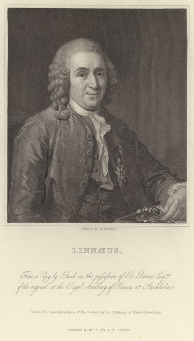 Linnaeus door Alexander Roslin