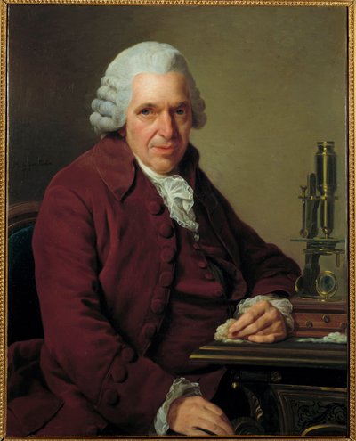 Portret van Louis Jean Marie Daubenton, genaamd Daubenton (1716 - 1800), Franse natuurkundige door Alexander Roslin