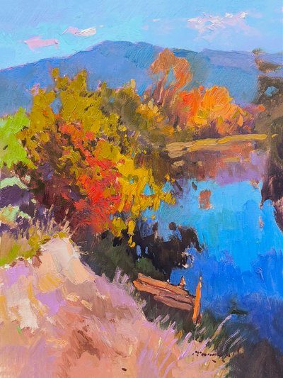 Inbreker door Alexander Shandor