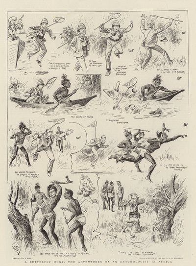 Een vlinderjacht, de avonturen van een entomoloog in Afrika door Alexander Stuart Boyd