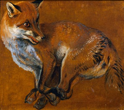Vos met vastgebonden poten, door Alexandre-François Desportes door Alexandre Francois Desportes