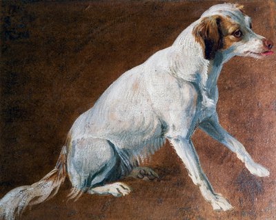 Franse Spaniel voorouder door Alexandre Francois Desportes