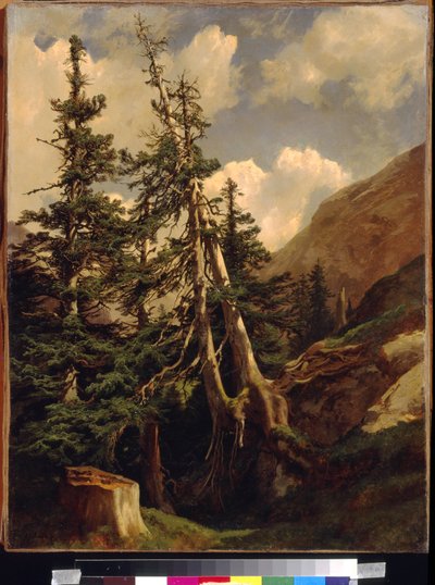 Sparren in de bergen door Alexandre Calame (1810-1864) door Alexandre Calame