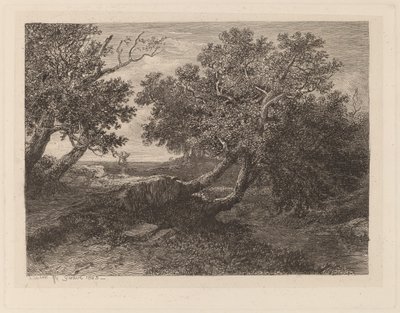 Stroom met overhangende bomen door Alexandre Calame