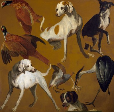 Studie van vogels en honden door Alexandre Francois Desportes