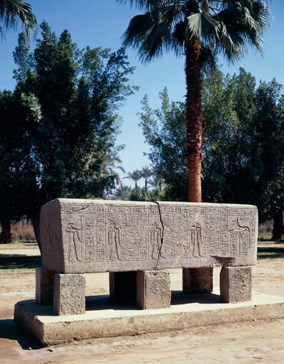 Egypte, Caïro, Oud Memphis, gegraveerde sarcofaag door Nicolas Toussaint Charlet