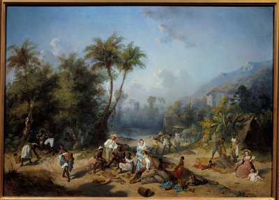 Een cacaoplantage in West-Indië door Alexandre Solde