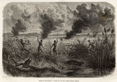 De Bongo-stam jaagt de rat uit het riet (voor naturalisten: aulacode), zodra ze de plaats spotten waar de knaagdieren leven, wordt er vuur gestoken aan het droge gras rond hun huisje, totdat de beesten, gedwongen te vluchten, zich aan de jagers presenteren door Alexandre de (after) Bar