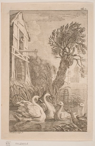 De Gans en de Zwaan door Alexia von Lode