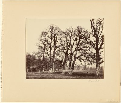 Blake Hall door Alfred Capel Cure
