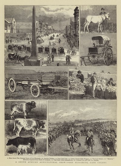 Een Zuid-Afrikaanse Landbouwshow, Port Elizabeth, Kaapkolonie door Alfred Chantrey Corbould