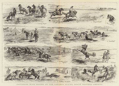 Het vangen van wilde paarden op de Laramie-vlaktes, Noordwest-Amerika door Alfred Chantrey Corbould