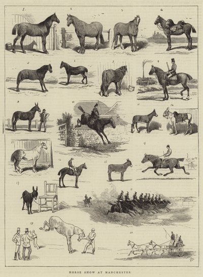 Paardenshow in Manchester door Alfred Chantrey Corbould