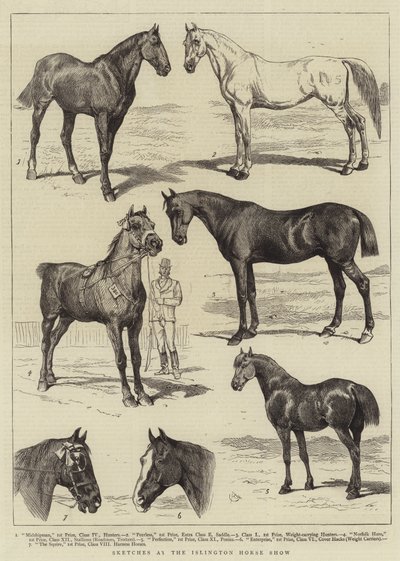 Schetsen op de Islington Paardenshow door Alfred Chantrey Corbould