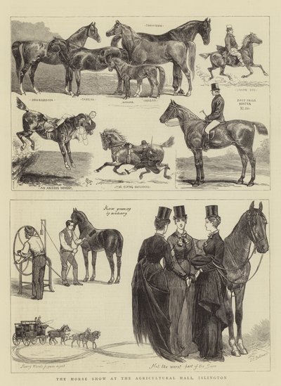 De Paardenshow in de Agricultural Hall, Islington door Alfred Chantrey Corbould