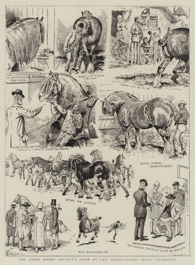 De show van de Shire Horse Society in de Agricultural Hall, Islington door Alfred Chantrey Corbould