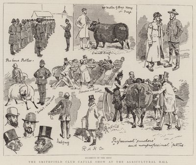 De Smithfield Club Vee Show in de Agricultural Hall door Alfred Chantrey Corbould