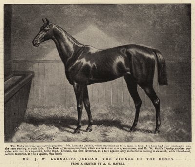 De heer J W Larnachs Jeddah, de winnaar van de Derby door Alfred Charles Havell