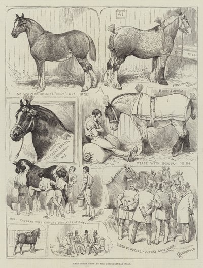 Trekpaardenshow in de Agricultural Hall door Alfred Courbould