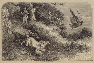 Fazantjacht door Alfred Courbould