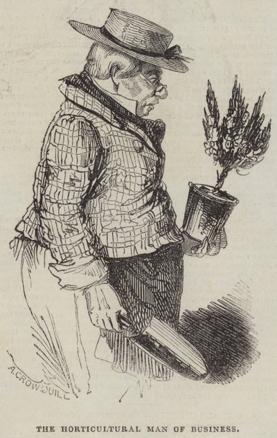 De Tuinbouwman van Zaken door Alfred Crowquill