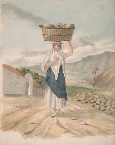 Vrouwelijke Ventster van Port Orotava door Alfred Diston