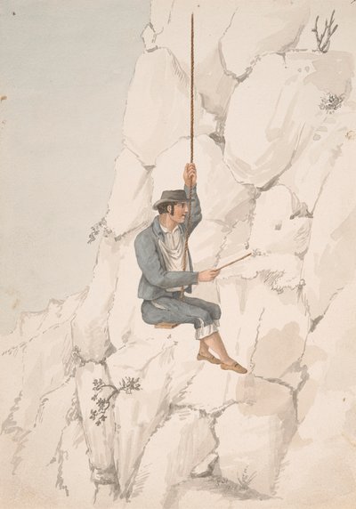 Gomero, Orchilla Verzamelaars door Alfred Diston