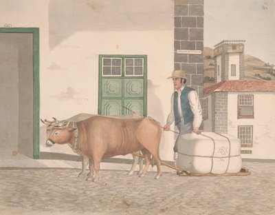 Ossenslee voor het vervoer van koopwaar door Alfred Diston