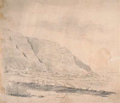 Realejo de arriba, Tenerife door Alfred Diston