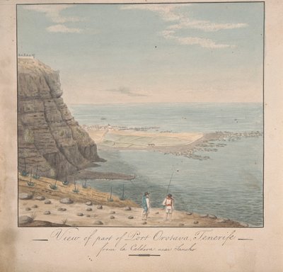 Uitzicht vanaf een Deel van Port Orotava, Tenerife vanaf La Caldeva, nabij Sancho door Alfred Diston