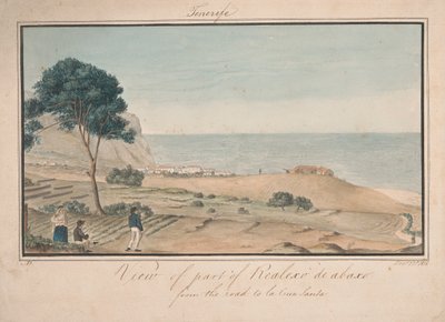 Uitzicht op een deel van Realesco de abasco vanaf de weg naar la Cruz Santa door Alfred Diston