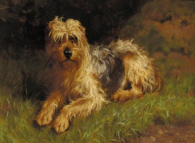 Zacht Gecoate Wheaten Terrier door Alfred Duke