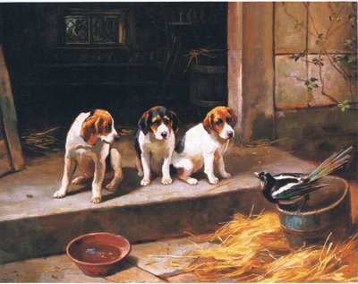 De ongenode gast, uit onbekende bron (kleur litho) door Alfred Duke