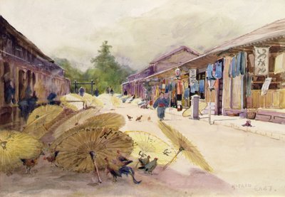 Paraplu