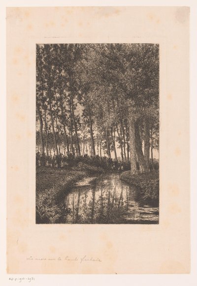 Hoge bomen aan het water door Alfred Elsen