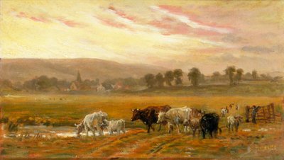 Zonsondergang bij Amberley door Alfred Fitzwalter Grace
